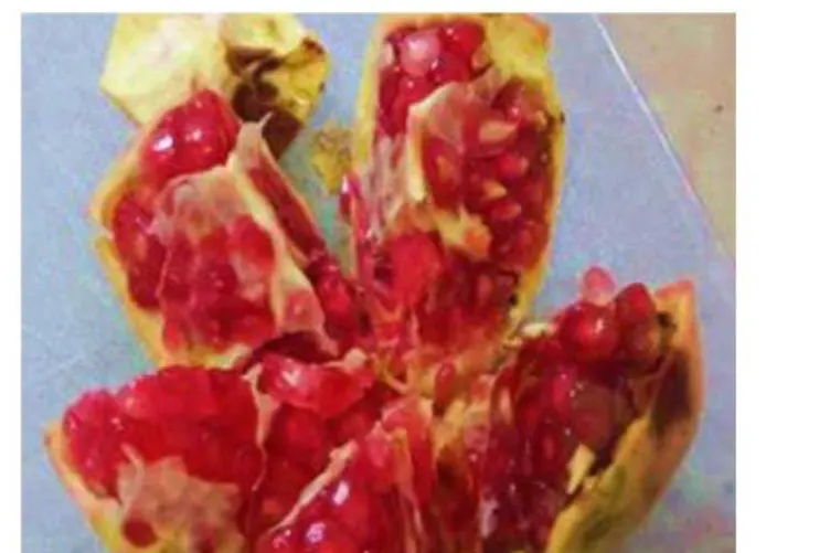 Cover image for Pomegranate (Punica granatum L.) and Its Bioactive Components: Composition, Biological Activities, and Applications in Food, Pharmaceutical, and Nutraceutical Fields